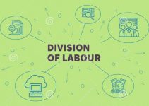10 Amazing Advantages Of Division Of Labor