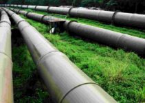 Nigerian Government Target to Reopen 180,000 BPD Trans-Niger Oil Pipeline