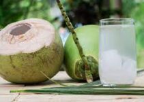 Health Benefits Of Drinking Coconut Water