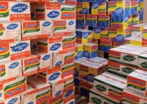 How to Start an Indomie Wholesale Business in Nigeria